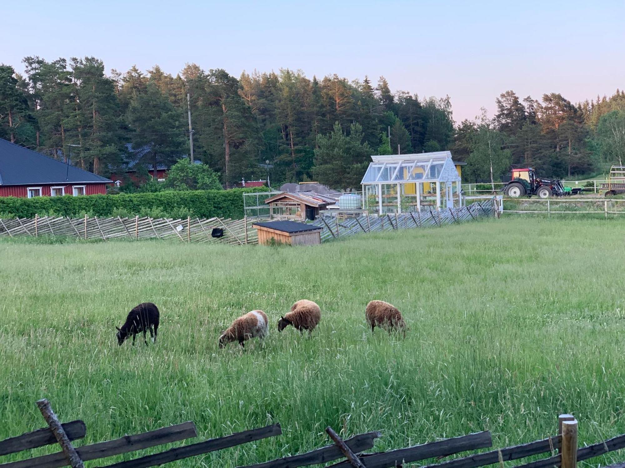 Lomahyppaeys Villa Naantali Luaran gambar