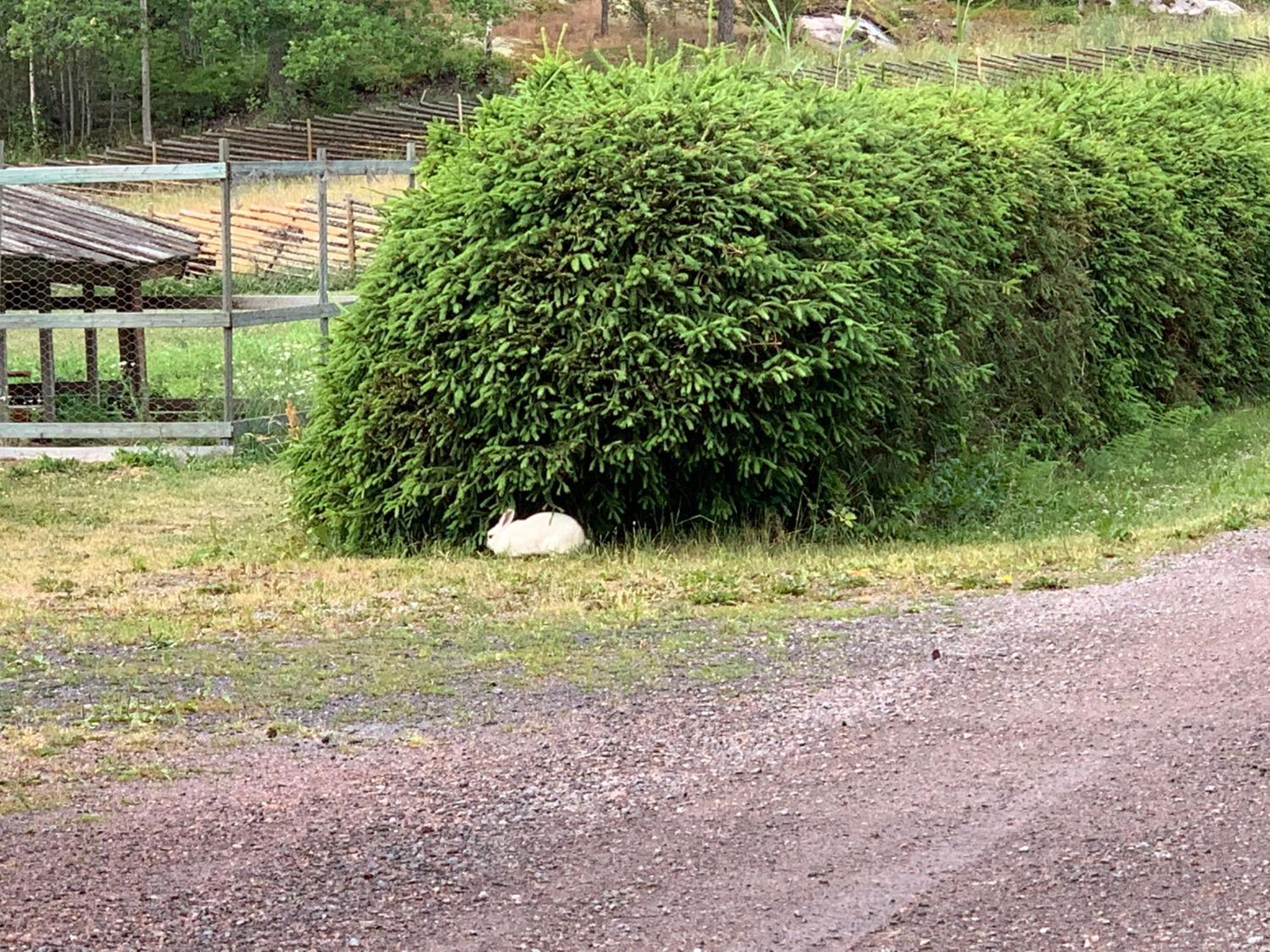 Lomahyppaeys Villa Naantali Luaran gambar