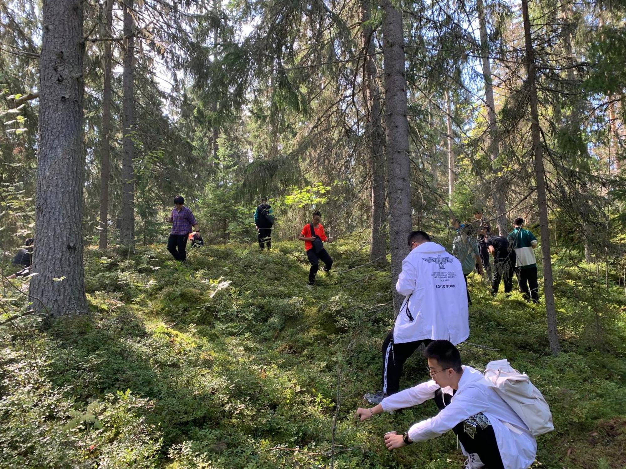 Lomahyppaeys Villa Naantali Luaran gambar